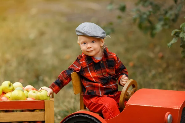 Sonbaharda Çiftlikte Elma Toplayan Kırmızı Gömlekli Bir Çocuk Çiftçi Çocuk — Stok fotoğraf
