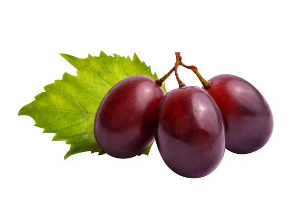 在白色背景上分离的鲜红葡萄的特写 三颗多汁葡萄和绿叶 — 图库照片