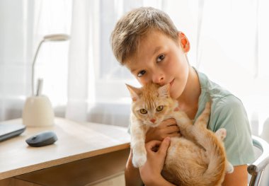 Oğlan ve evcil hayvan evde. Çocuk evde otururken kızıl kediye sarılıyor. Evcil hayvan, çocuk sevgisi ve arkadaşlık. Samimi sahne, 