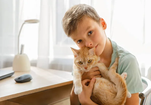 Boy and pet at home. Kid hugs red ginger cat while sitting at home. Domestic animal and kid love and friendship. Cozy scene,