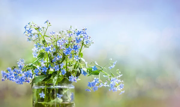 青い空を背景にガラス瓶の中の青い野の花の花束 — ストック写真