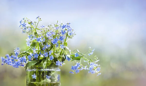 Boeket Van Blauwe Wilde Bloemen Een Glazen Pot Close Een — Stockfoto