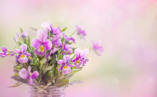 ピンクの背景に紫色の花の花束をクローズアップ 柔らかい選択的フォーカス — ストック写真