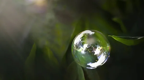 太陽の光に近い緑の葉に石鹸バブル — ストック写真