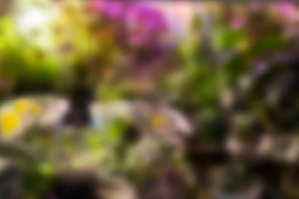 Unscharf Defokussiert Blühenden Garten Hintergrund Kann Für Design Verwendet Werden — Stockfoto