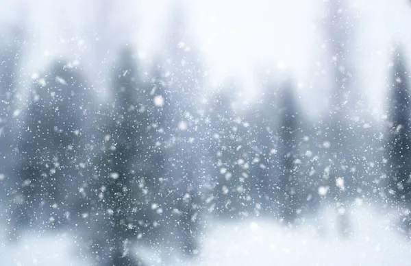 Suddig Vinter Bakgrund Fallande Snö Bakgrunden Skog Utan Fokus — Stockfoto