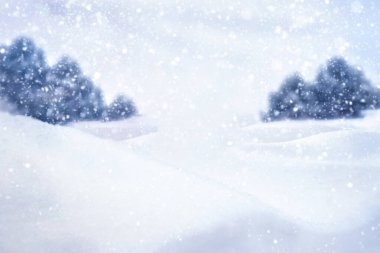 drifts against the background of a coniferous forest under snow