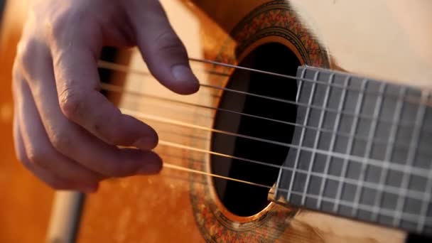 Primo piano delle dita dei musicisti che strimpellano sulle corde della chitarra acustica. — Video Stock