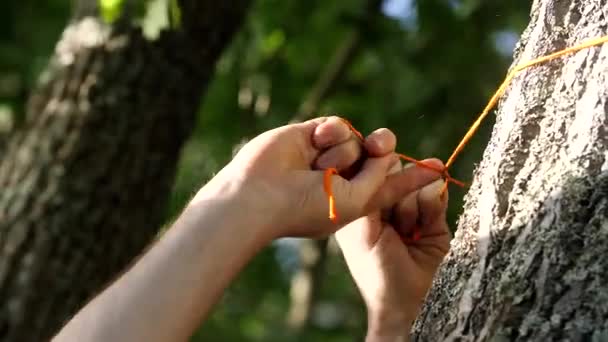 Le mani dei turisti legano una sottile corda arancione intorno all'albero. — Video Stock