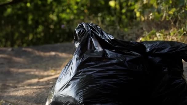 Sac en plastique noir avec poubelle sur la route dans la forêt. — Video