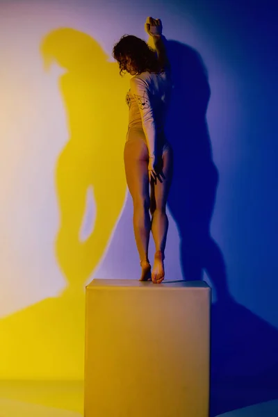 工作室霓虹灯前穿着时髦衣服的时装模特 一个穿着紧身衣 背景为蓝色和黄色紫外线的性感女人在夜总会的画像 — 图库照片