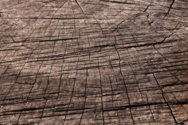 Ahşap doku arka planını kapat. Devrilmiş bir ağacın kesitinde büyüme halkaları görülüyor. Kesik ağaç gövdesinin eski doğal ahşap dokusu metin ve arka plan için. Doğanın Tasarımı