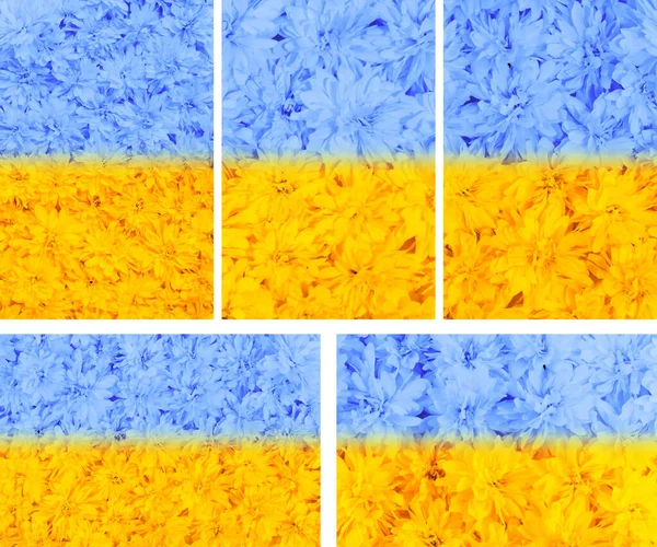 Collection of abstract flag of Ukraine. Summer and spring blooming flowers. Bright floral card. Gardening, botany, texture and flora concept - beautiful flowers. Yellow-blue floral background.