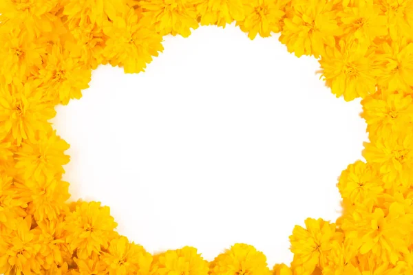 明るい黄色の春の花の孤立したフレームと境界線を閉じます 夏春に黄色い花を咲かせます 明るい花のカード テクスチャと植物の概念 美しい花 — ストック写真