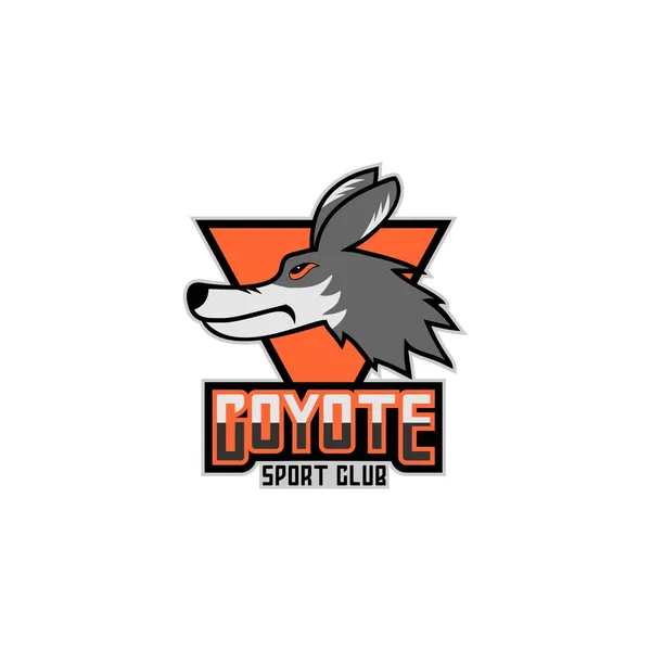 Diseño Del Logotipo Insignia Del Coyote Sport — Vector de stock