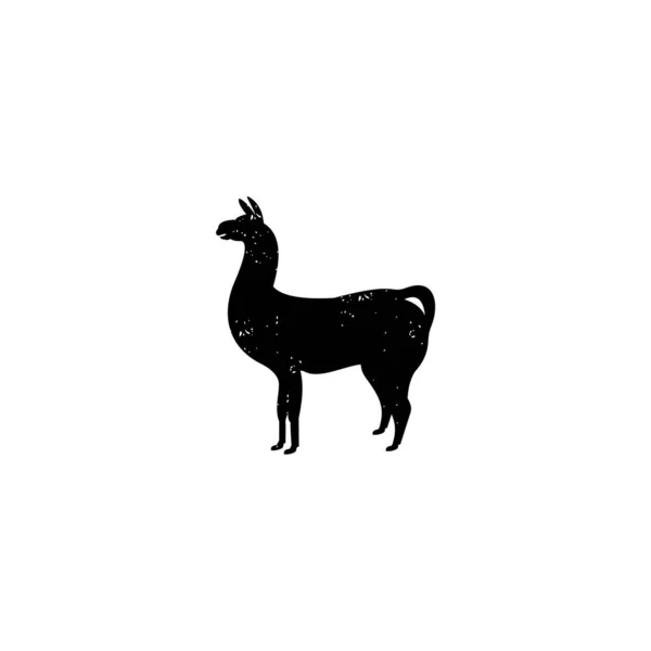 Llama Alpaca Animal Vector Logo Design — Image vectorielle
