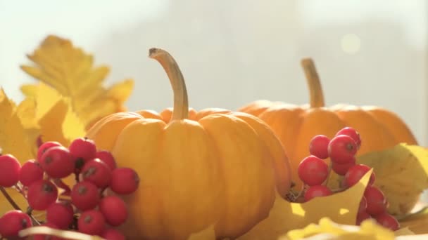 Decoração com duas abóboras amarelas como símbolo de outono e outubro feriados — Vídeo de Stock