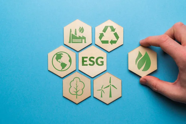 ESG ya da çevresel sosyal yönetim. Bir doğa koruma stratejisinin şirket geliştirilmesi