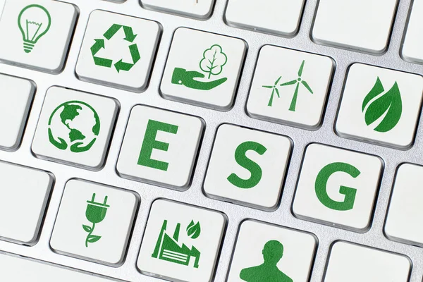 Esg Environmental Social Governance Managing Company Nature Conservation Strategy Icons — Stock Photo, Image