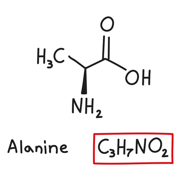 Ręcznie Rysowana Chemiczna Formuła Molekularna Aminokwasu Alaniny Odizolowanym Stylu Doodle — Wektor stockowy