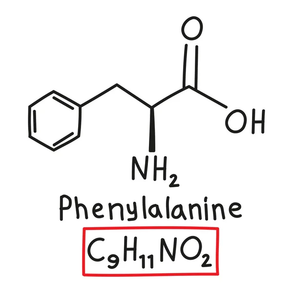 Fórmula Molecular Química Extraída Mano Aminoácido Fenilalanina Estilo Doodle Aislado — Vector de stock