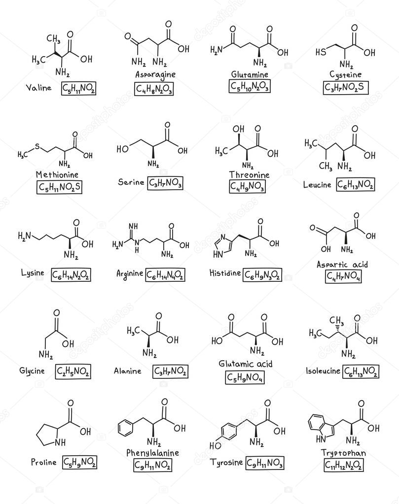 Hand drawn set chemical molecular formula of amino acids in doodle style isolated.