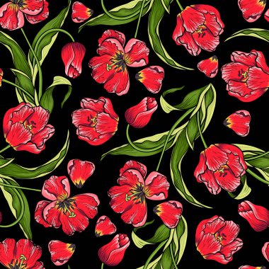 Siyah arka planda kırmızı laleler olan kusursuz çiçek desenleri. Davetiyeler için çiçek arkaplanı, tebrik kartları, tekstil, paketleme, yapıştırma kitabı.