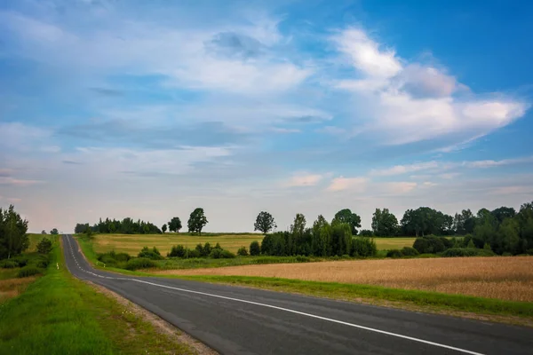 Landscape Asphalt Road Bushes Road Countryside Stock Picture