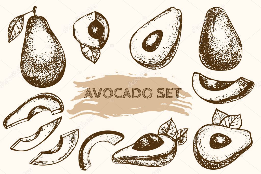 A set of sketches of the whole avocado, halves, slices, leaves. Healthy vegetarian food. A collection of useful drawn fetus. Tropical exotic fruit. Vector illustration, doodle.