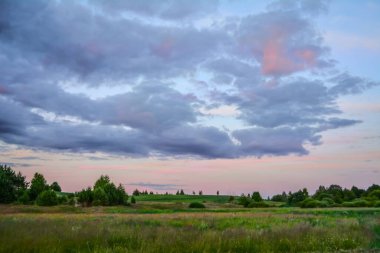 Yaz akşamı manzarası. Gün batımından hemen önce bulutlu gökyüzü, tarla, uzaktaki ağaçlar.