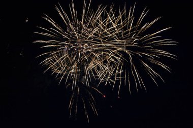 Gece gökyüzünde narin bir havai fişek patlaması