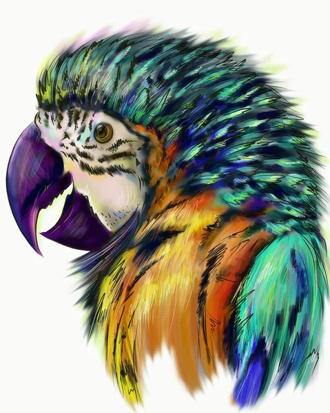 Ara Papağanı Akıllı Papağan Tropik Kuşak Dijital Resim — Stok fotoğraf