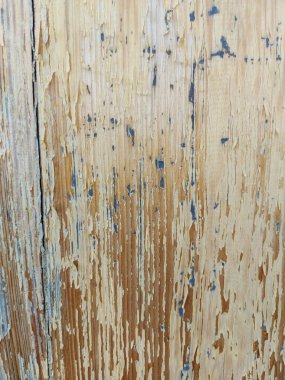 Ahşap zemin, fildişi desenli kabuk soyulmuş ve çatlamış boya tabakası..