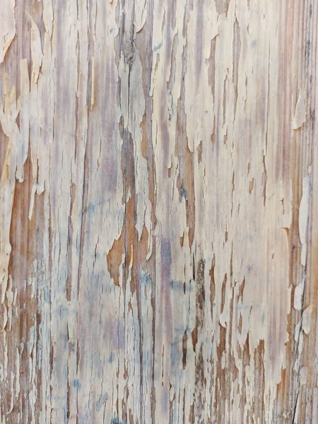 Ahşap zemin, fildişi desenli kabuk soyulmuş ve çatlamış boya tabakası..