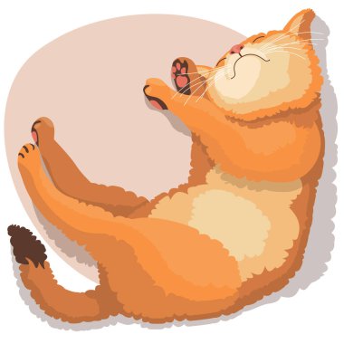 Yumuşak kedi tatlı tatlı uyur patilerini uzatır