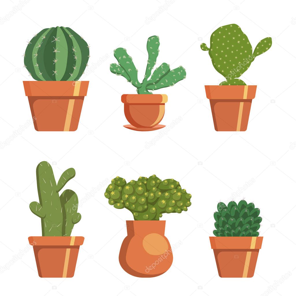 Set of decorative cacti in pots, homemade prickly plant