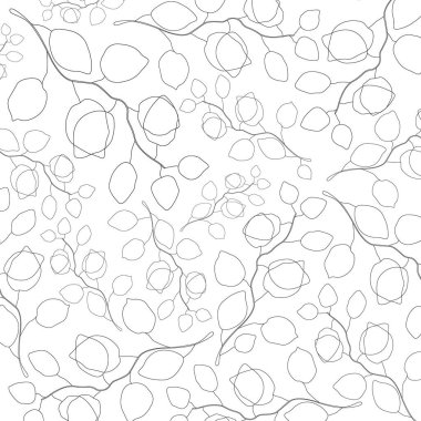 Siyah ve beyaz arkaplan resim şablonu tasarımı, doğrusal okaliptüs yaprakları, minimalist biçim.