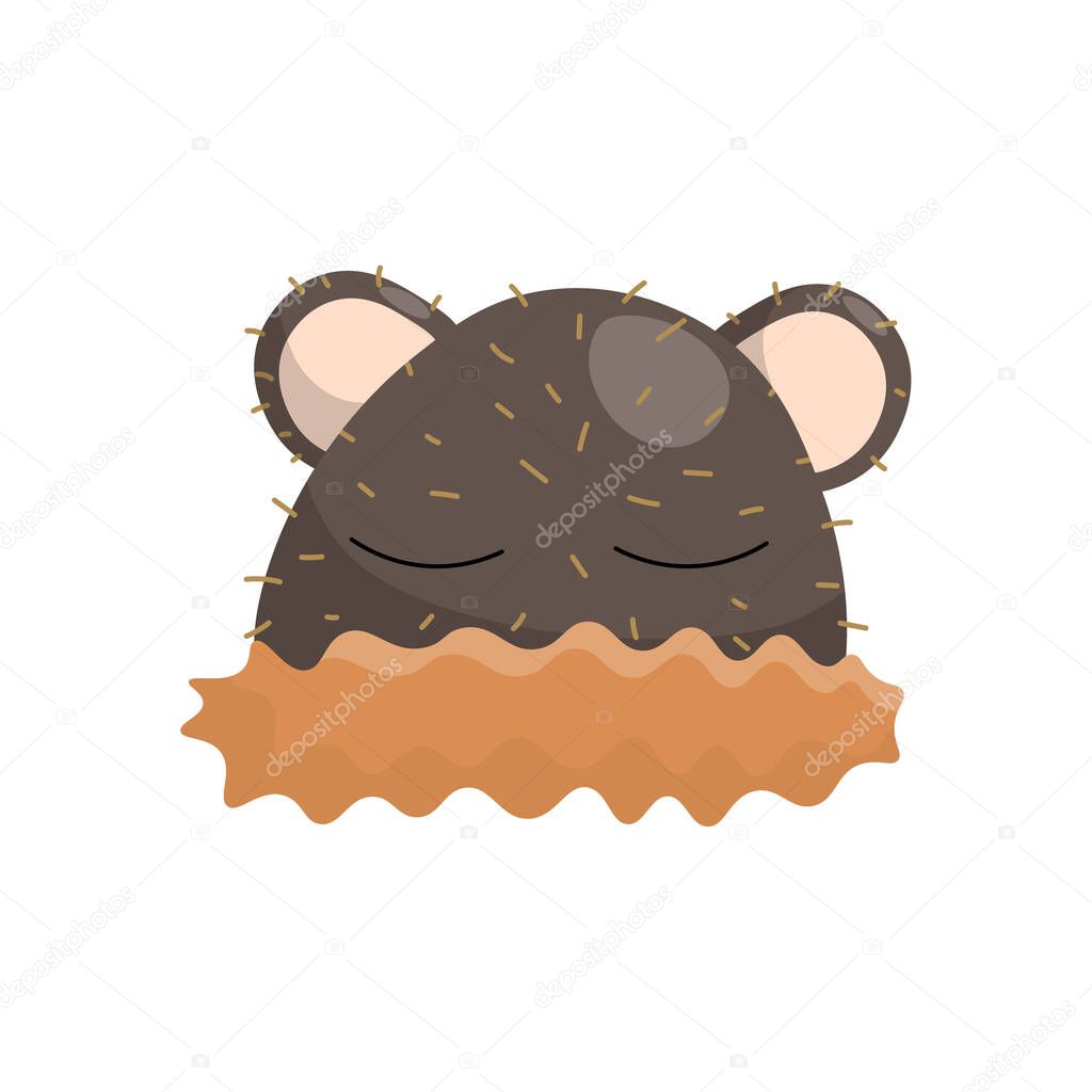 Warm brown baby hat with ears, eyes and fur. Vector illustration