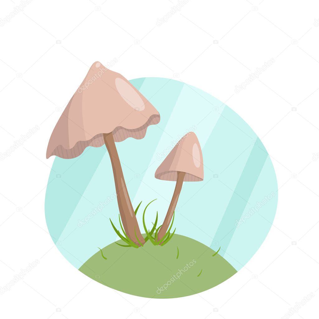 Flat picture, forest mushroom armillaria in the grass, on the hill.