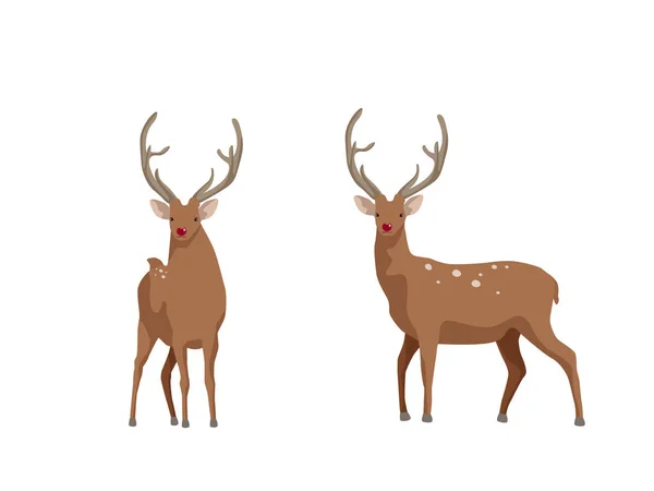 A set of two deer for your design. Deer spotted brown isolated on white background. — Stock Vector