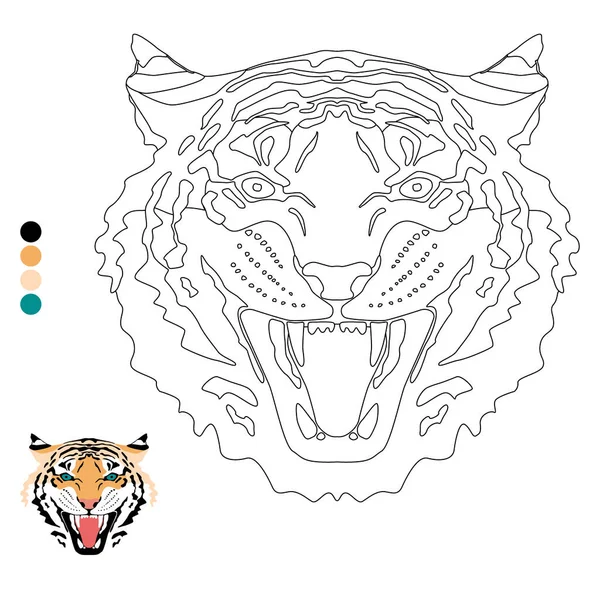 Livre à colorier pour enfants et adultes, la tête d'un tigre prédateur avec un exemple de couleur. — Image vectorielle