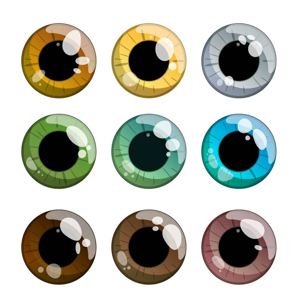 Kahverengiden maviye dokuz renkli süsen seti