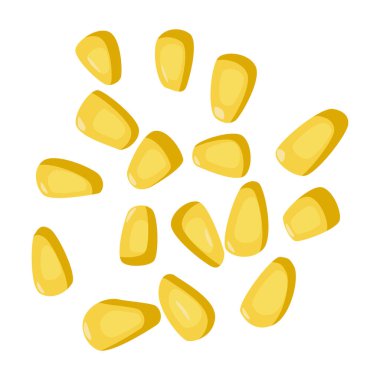 Sarı mısır tanelerinin vektör çizimi. Tasarım, gıda ve tarım teması. Vektör illüstrasyonu