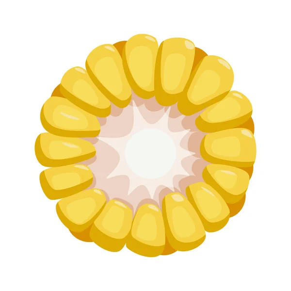 Векторний Малюнок Жовтого Кукурудзи Секції Реалістичний Елемент Дизайну Тема Продовольства — стоковий вектор