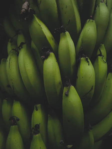 fresh banana. green bananas. background