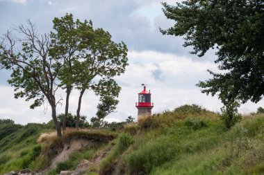 Arka planda deniz feneri Saberhuk olan yeşil kıyı manzarası, Fehmarn Adası, Almanya
