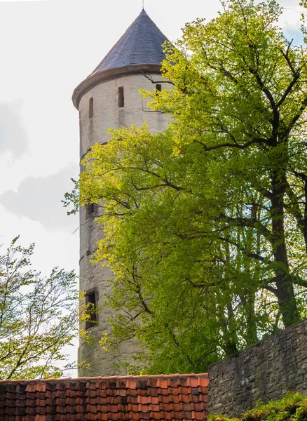 Wieża obronna średniowiecznych ruin zamku Plesseburg w Bovenden, Niemcy — Zdjęcie stockowe