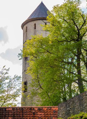 Ortaçağ kalesi, Plesse Burg, Goettingen