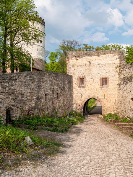 Plesse Burg, Goettingen, Almanya 'da bir ortaçağ şatosu harabesinin kapısı.