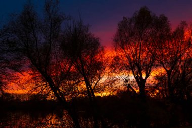 Fiery sunset in autumn, with bare tree silhouettes in the foreground. More landscape and sunset photos in my collection
